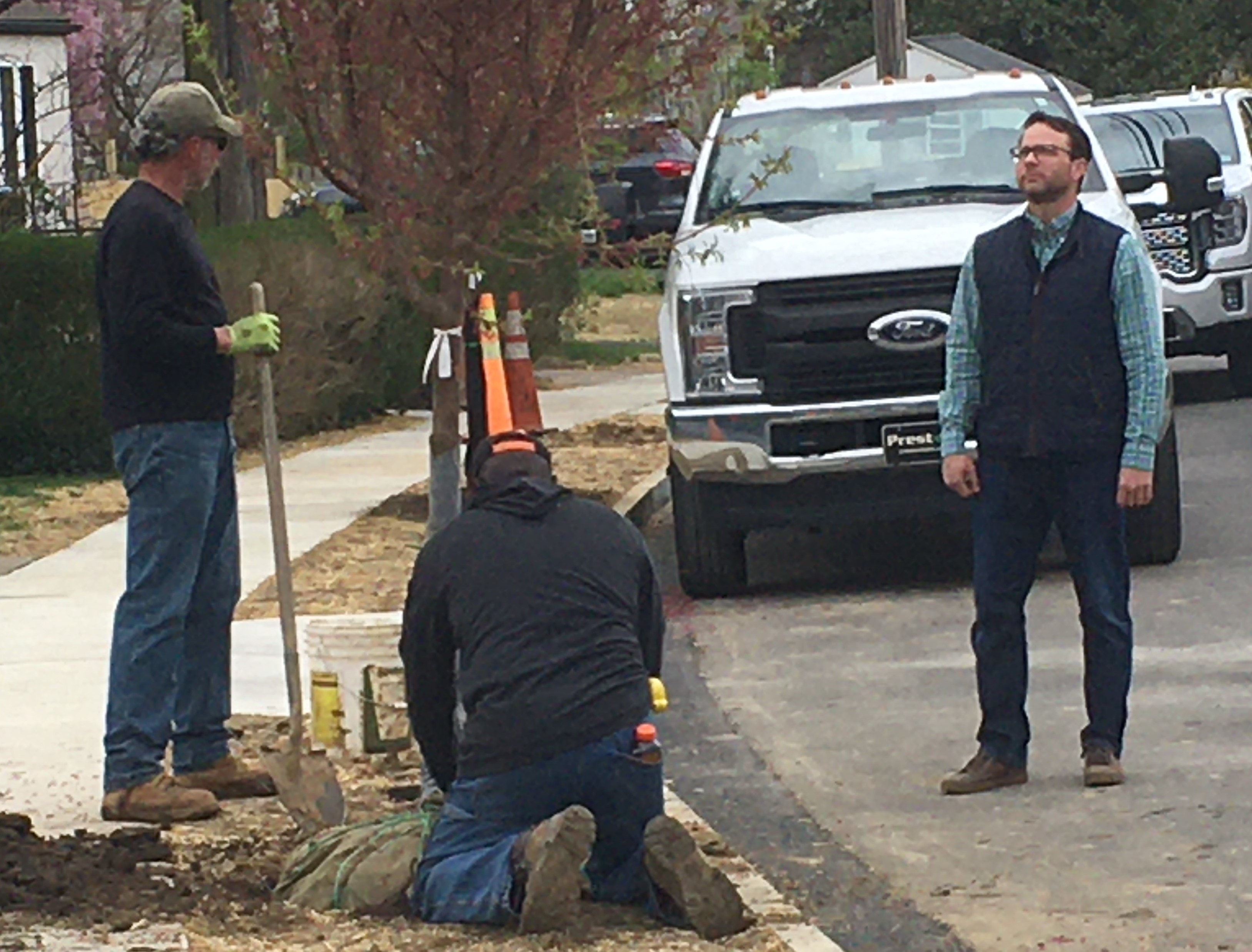 Tree Planting on Morris Road